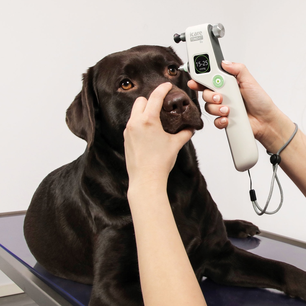 [DK]Tonometer, iCare Tonovet Pet, i brug
